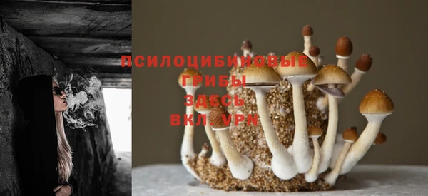 альфа пвп Белокуриха